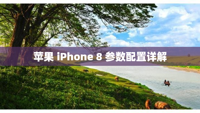 苹果 iPhone 8 参数配置详解