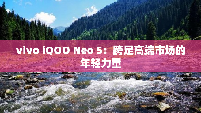 vivo iQOO Neo 5：跨足高端市场的年轻力量