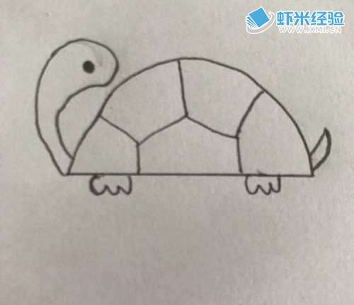 乌龟的简笔画的画法
