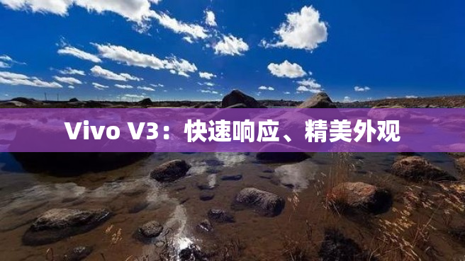 Vivo V3：快速响应、精美外观