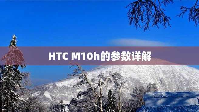 HTC M10h的参数详解