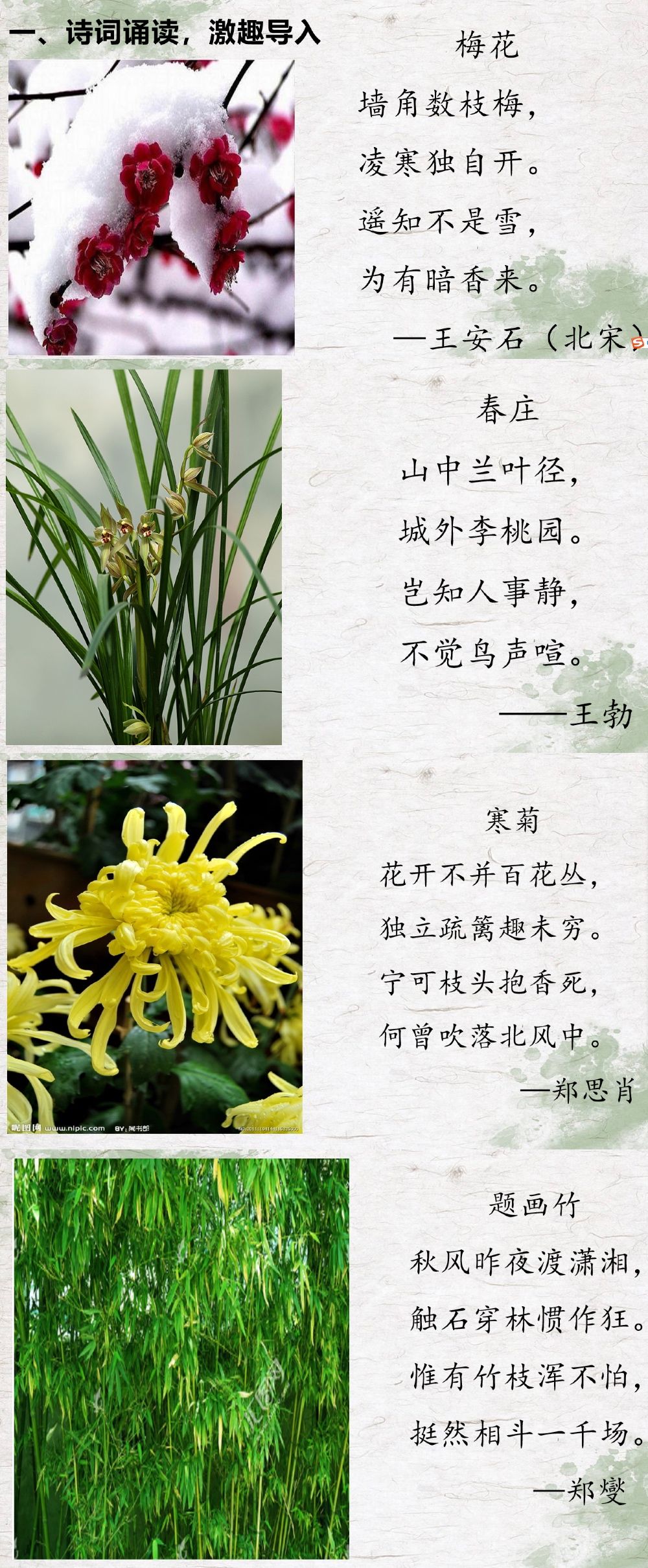 古诗中菊的象征及诗句__菊的诗句和象征意义