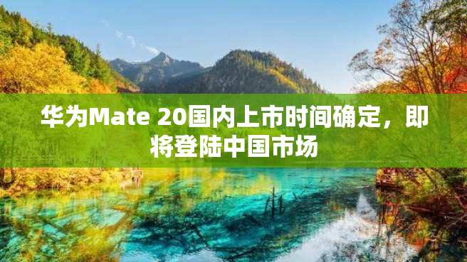华为Mate 20国内上市时间确定，即将登陆中国市场