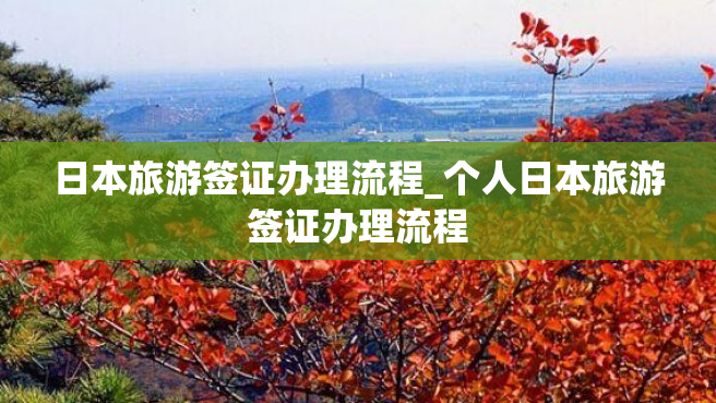 日本旅游签证办理流程_个人日本旅游签证办理流程
