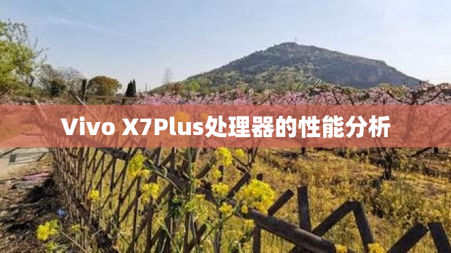 Vivo X7Plus处理器的性能分析