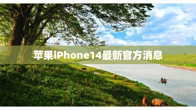 苹果iPhone14最新官方消息