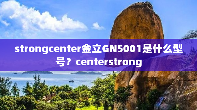 strongcenter金立GN5001是什么型号？centerstrong