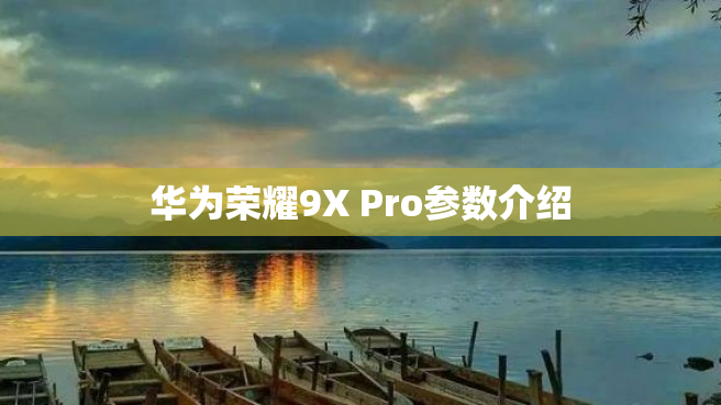 华为荣耀9X Pro参数介绍