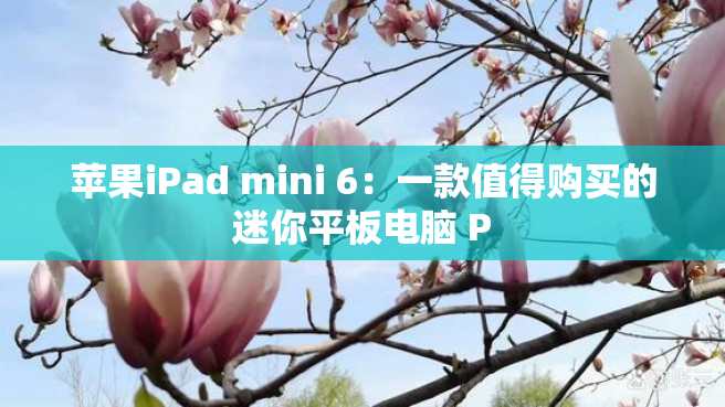 苹果iPad mini 6：一款值得购买的迷你平板电脑 P