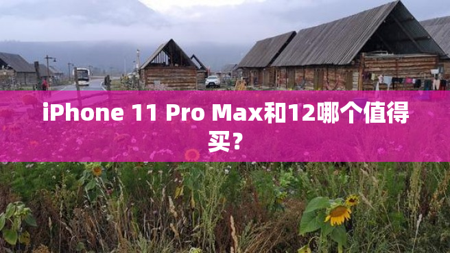 iPhone 11 Pro Max和12哪个值得买？