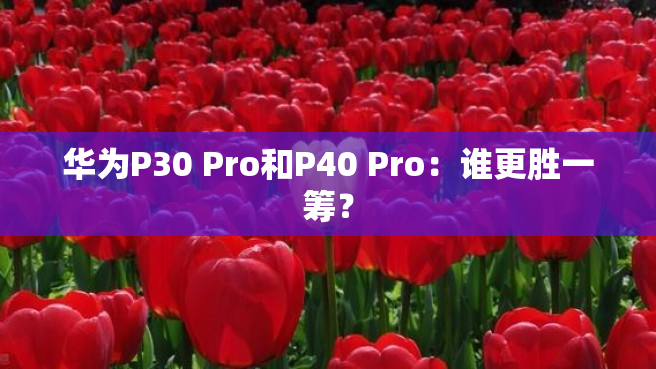 华为P30 Pro和P40 Pro：谁更胜一筹？